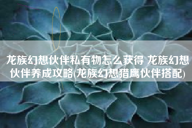 龙族幻想伙伴私有物怎么获得 龙族幻想伙伴养成攻略(龙族幻想猎鹰伙伴搭配)