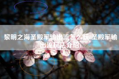黎明之海圣殿军输出流怎么玩(圣殿军输出流玩法介绍)