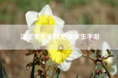 决定求生手游,绝地求生手游