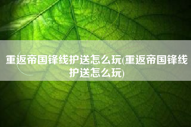 重返帝国锋线护送怎么玩(重返帝国锋线护送怎么玩)