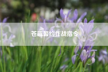苍蓝誓约作战指令