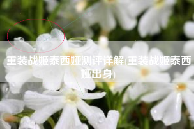 重装战姬泰西娅测评详解(重装战姬泰西娅出身)
