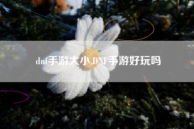 dnf手游大小,DNF手游好玩吗