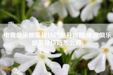 电竞俱乐部英雄技巧提升攻略(电竞俱乐部英雄技巧怎么得)