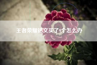 王者荣耀铭文买了9个怎么办