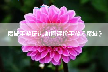魔域手游玩法,如何评价手游《魔域》