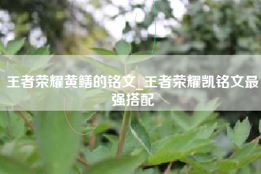 王者荣耀黄鳝的铭文_王者荣耀凯铭文最强搭配