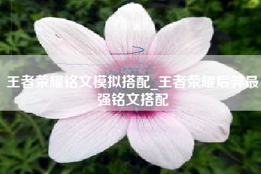 王者荣耀铭文模拟搭配_王者荣耀后羿最强铭文搭配