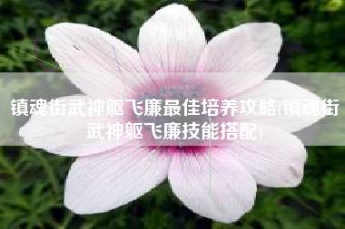 镇魂街武神躯飞廉最佳培养攻略(镇魂街武神躯飞廉技能搭配)