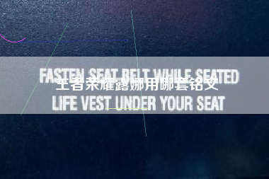 王者荣耀露娜用哪套铭文