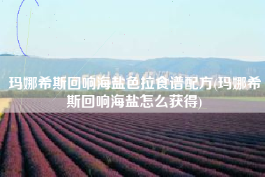 玛娜希斯回响海盐色拉食谱配方(玛娜希斯回响海盐怎么获得)