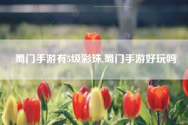 蜀门手游有5级彩珠,蜀门手游好玩吗