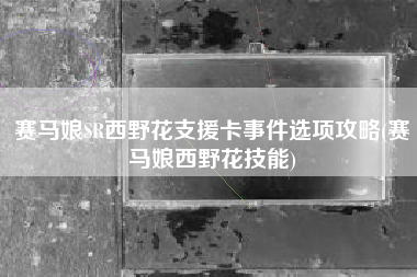 赛马娘SR西野花支援卡事件选项攻略(赛马娘西野花技能)