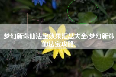 梦幻新诛仙法宝效果汇总大全(梦幻新诛仙法宝攻略)
