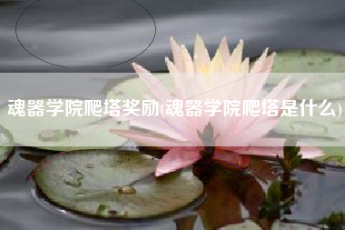 魂器学院爬塔奖励(魂器学院爬塔是什么)