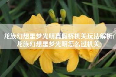 龙族幻想噩梦光明真假桥机关玩法解析(龙族幻想噩梦光明怎么过机关)