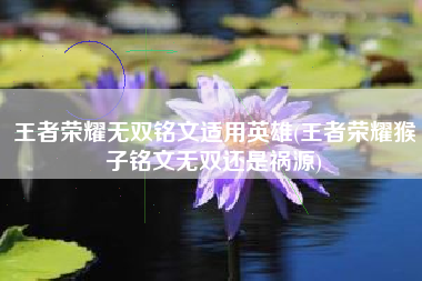 王者荣耀无双铭文适用英雄(王者荣耀猴子铭文无双还是祸源)
