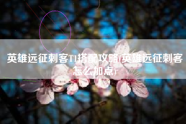 英雄远征刺客T1搭配攻略(英雄远征刺客怎么加点)