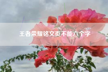 王者荣耀铭文页不能六个字