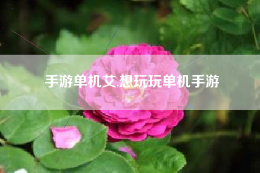 手游单机艾,想玩玩单机手游