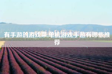 有手游的游戏菜,单机游戏手游有哪些推荐