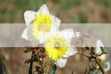 一品接单接单助手