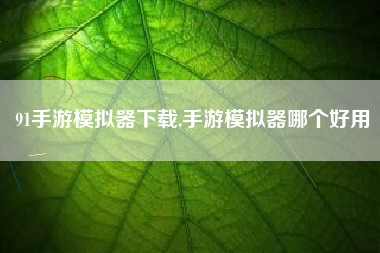91手游模拟器下载,手游模拟器哪个好用