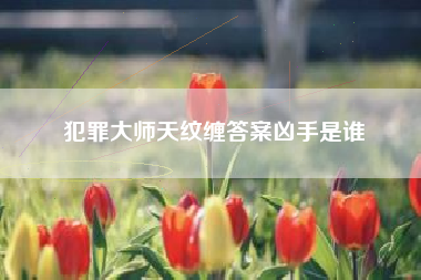 犯罪大师天纹缠答案凶手是谁