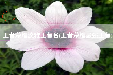 王者荣耀淡雅王者名(王者荣耀最强王者)