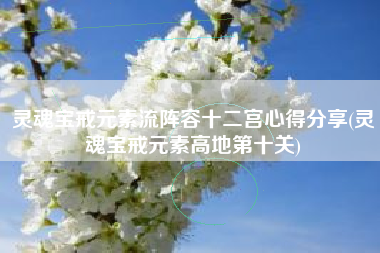 灵魂宝戒元素流阵容十二宫心得分享(灵魂宝戒元素高地第十关)