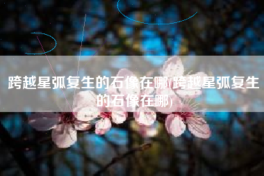 跨越星弧复生的石像在哪(跨越星弧复生的石像在哪)