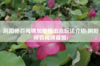 阴阳师百闻牌加盾输出流玩法介绍(阴阳师百闻牌藤姬)
