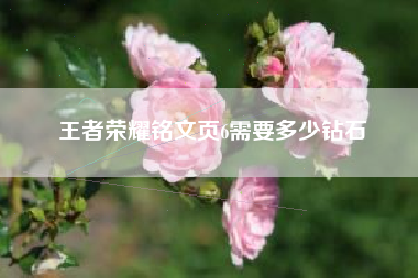 王者荣耀铭文页6需要多少钻石