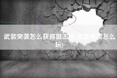 武装突袭怎么获得狙击枪(武装突袭怎么玩)