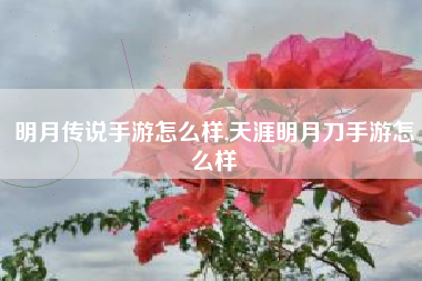 明月传说手游怎么样,天涯明月刀手游怎么样