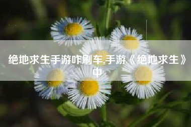 绝地求生手游咋刷车,手游《绝地求生》中
