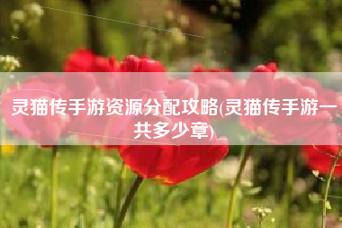 灵猫传手游资源分配攻略(灵猫传手游一共多少章)