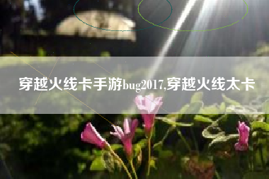 穿越火线卡手游bug2017,穿越火线太卡