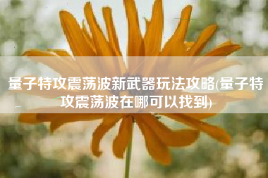 量子特攻震荡波新武器玩法攻略(量子特攻震荡波在哪可以找到)