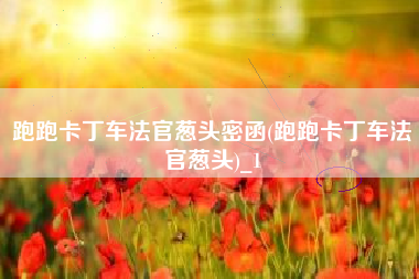 跑跑卡丁车法官葱头密函(跑跑卡丁车法官葱头)_1