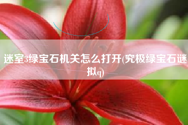 迷室3绿宝石机关怎么打开(究极绿宝石谜拟q)