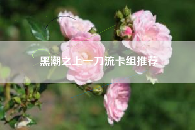 黑潮之上一刀流卡组推荐