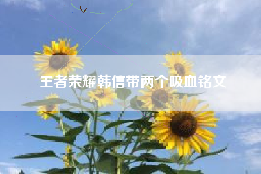 王者荣耀韩信带两个吸血铭文