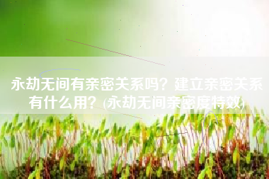 永劫无间有亲密关系吗？建立亲密关系有什么用？(永劫无间亲密度特效)