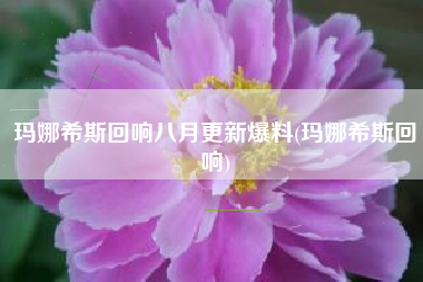 玛娜希斯回响八月更新爆料(玛娜希斯回响)
