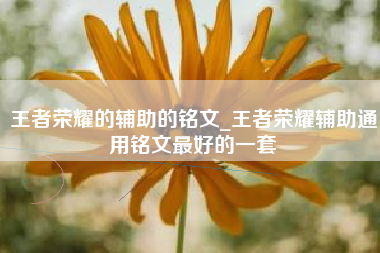 王者荣耀的辅助的铭文_王者荣耀辅助通用铭文最好的一套