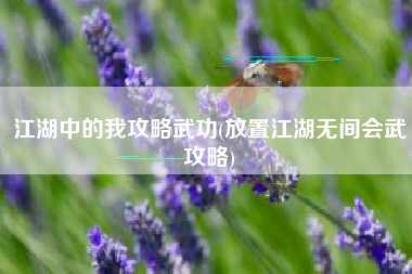 江湖中的我攻略武功(放置江湖无间会武攻略)