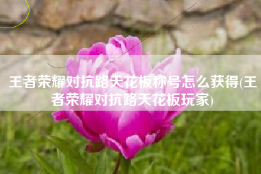 王者荣耀对抗路天花板称号怎么获得(王者荣耀对抗路天花板玩家)