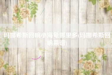 玛娜希斯回响小海龟哪里多(玛娜希斯回响菜谱)