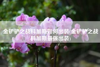 金铲铲之战科加斯如何出装(金铲铲之战科加斯最强出装)